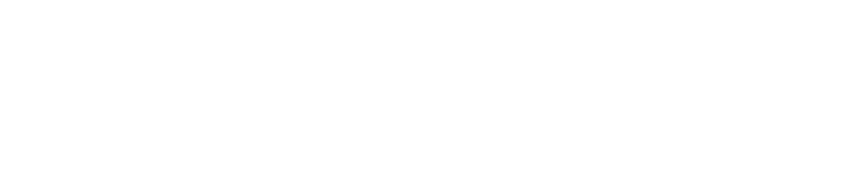 NetRabbit